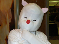 taku